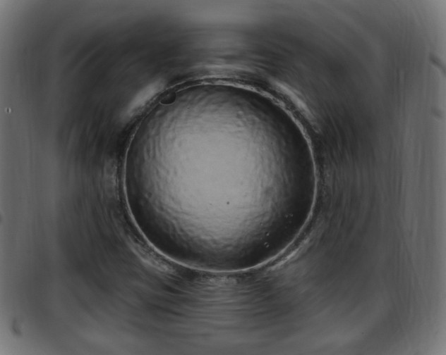 X0000097591403200803071310