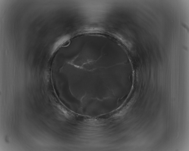 X0000097591405200803071310