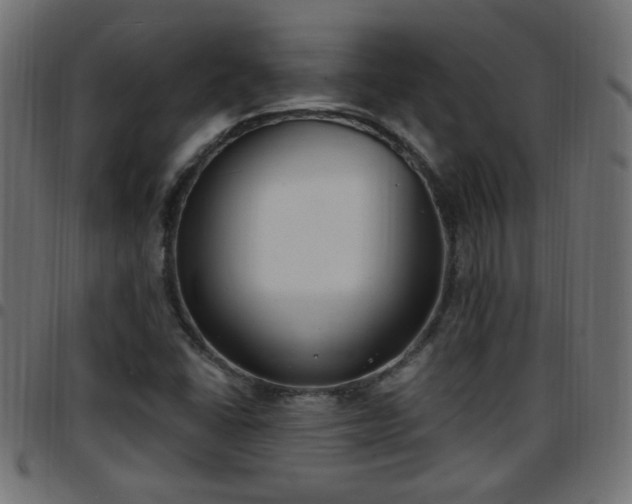 X0000097591406200803071310
