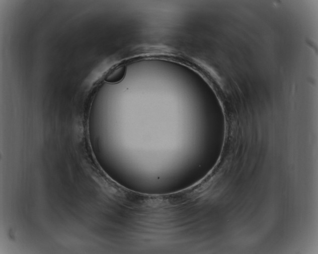 X0000097591407200803071310