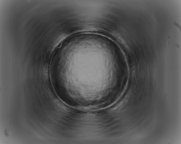 X0000097591409200803071310