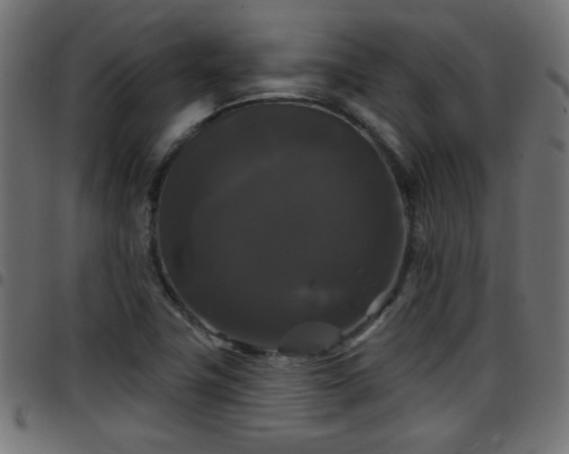 X0000097591411200803071310