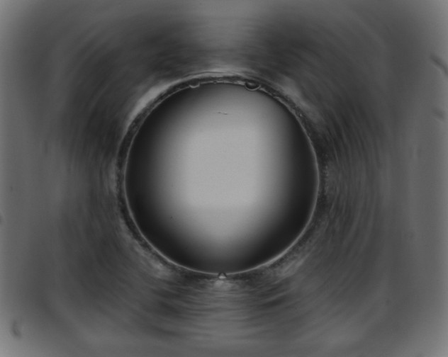 X0000097591412200803071310