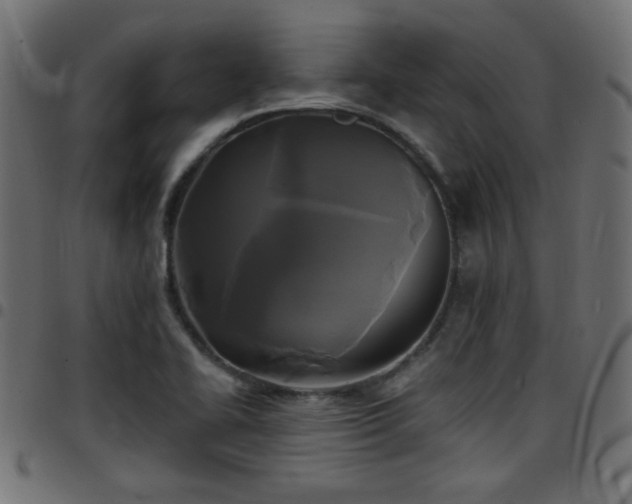 X0000097591414200803071310
