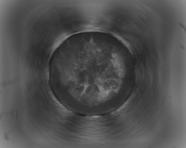 X0000097591415200803071310