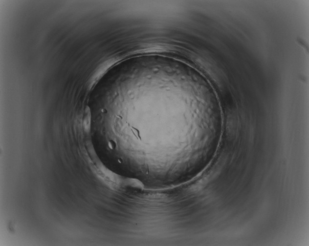 X0000097591417200803071310