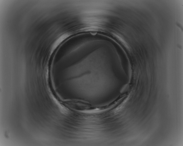 X0000097591418200803071310