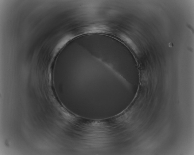 X0000097591419200803071310