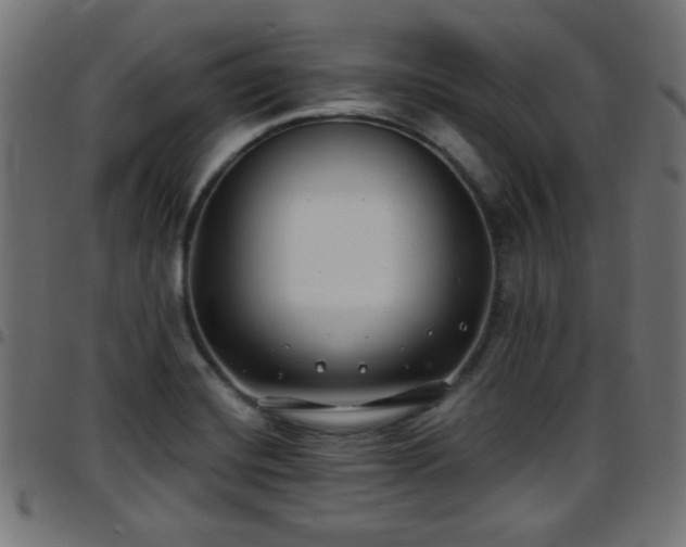 X0000097591420200803071310