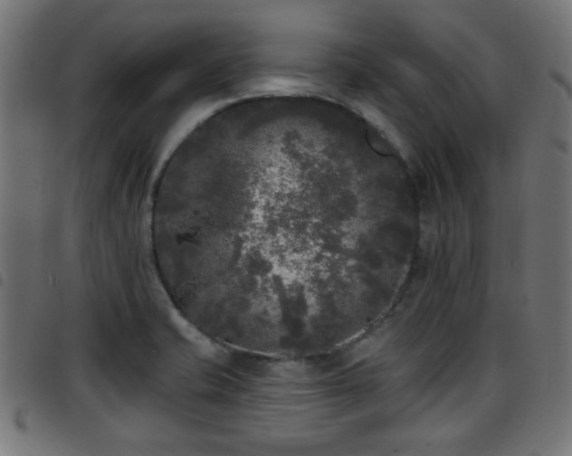 X0000097591421200803071310