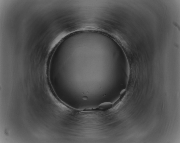 X0000097591422200803071310