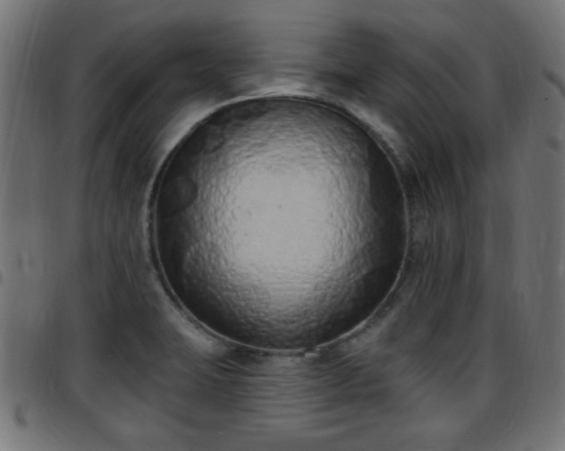 X0000097591423200803071310