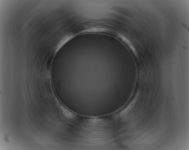 X0000097591425200803071310