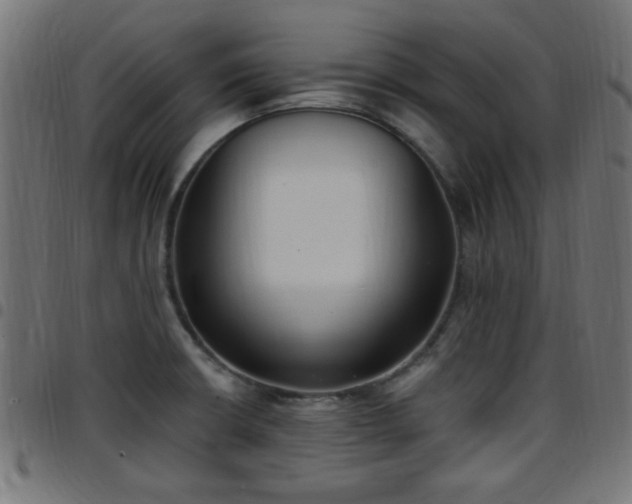 X0000097591426200803071310