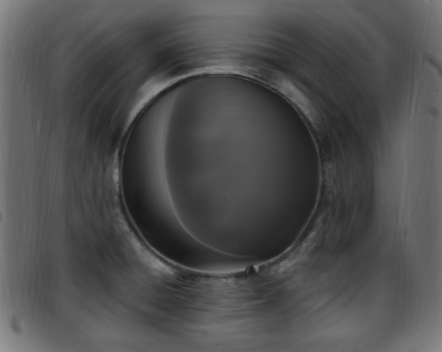 X0000097591428200803071310