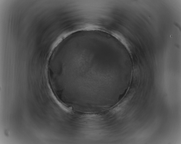 X0000097591429200803071310