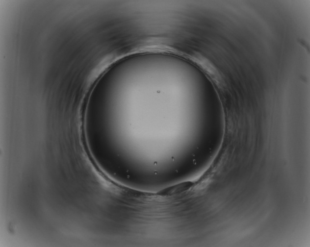 X0000097591430200803071311