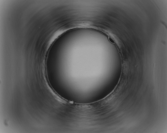 X0000097591432200803071311