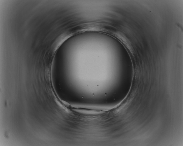 X0000097591433200803071311