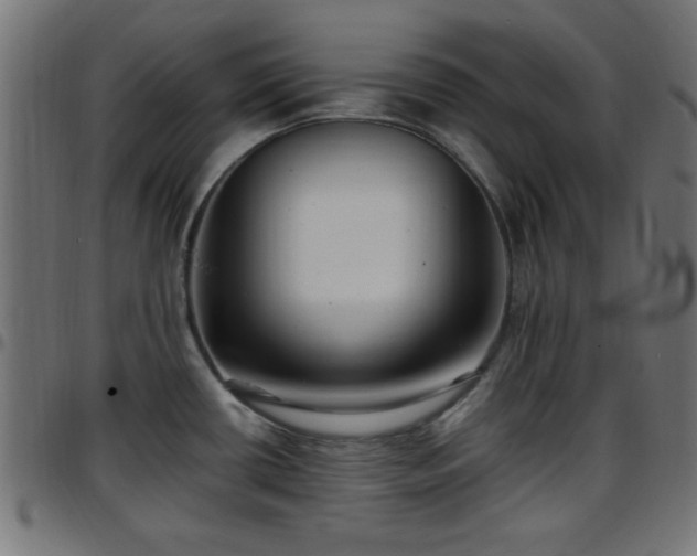 X0000097591434200803071311