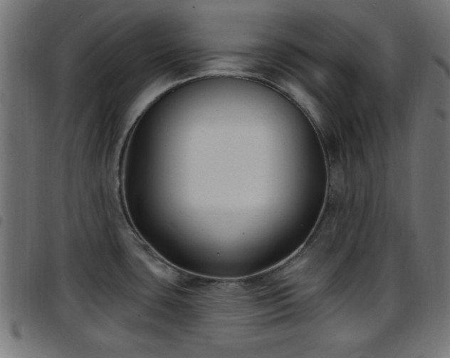 X0000097591435200803071311