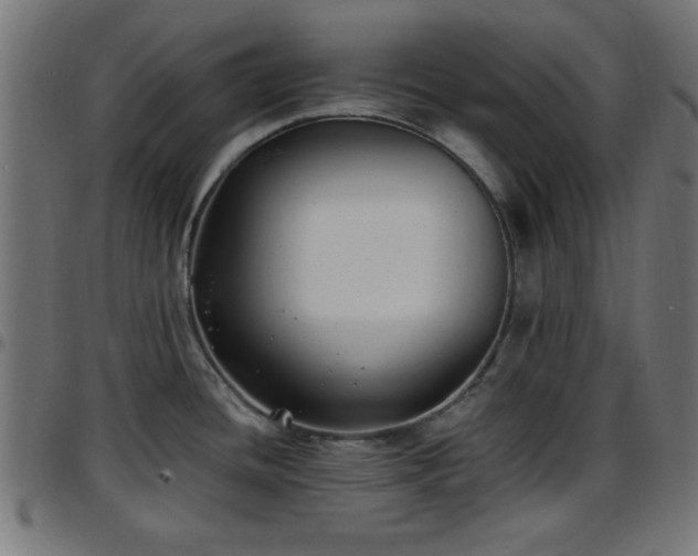 X0000097591436200803071311