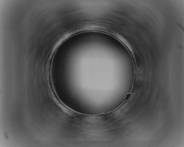 X0000097591437200803071311