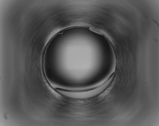 X0000097591438200803071311