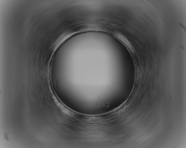 X0000097591439200803071311