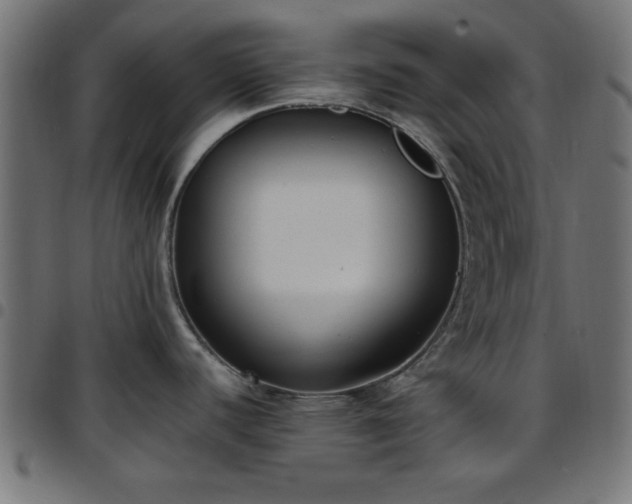 X0000097591440200803071311