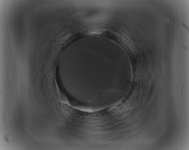 X0000097591441200803071310