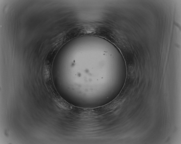 X0000097591442200803071310