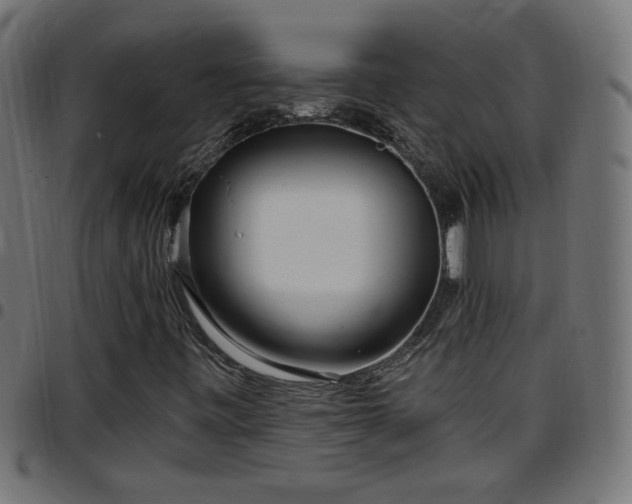 X0000097591443200803071310