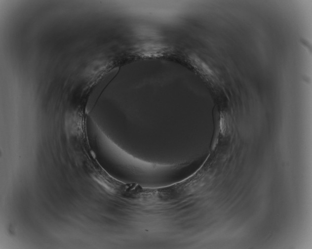 X0000097591444200803071310