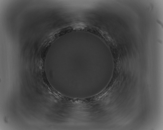 X0000097591445200803071310