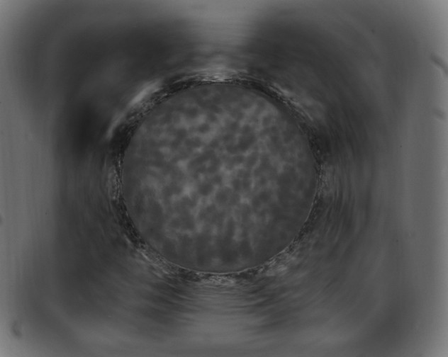 X0000097591446200803071310