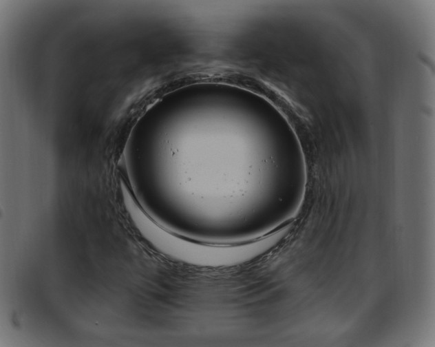 X0000097591447200803071310