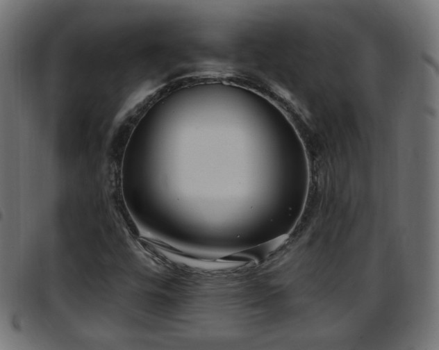 X0000097591448200803071310