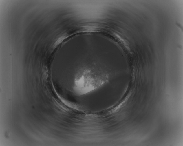 X0000097591449200803071310