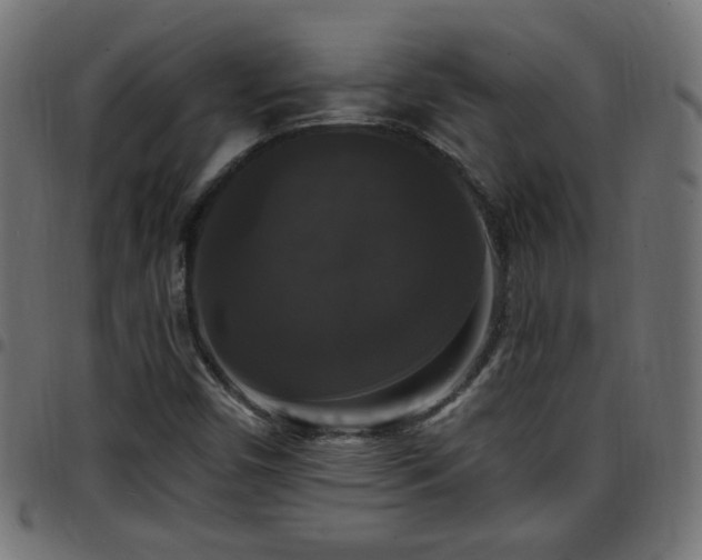 X0000097591450200803071310