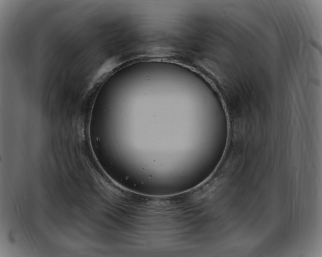 X0000097591451200803071310