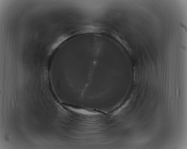 X0000097591453200803071310