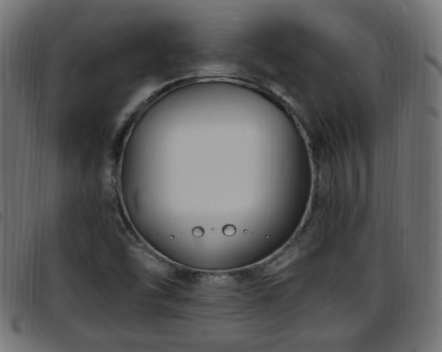 X0000097591454200803071310