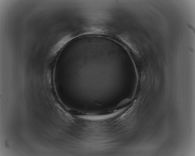 X0000097591455200803071310