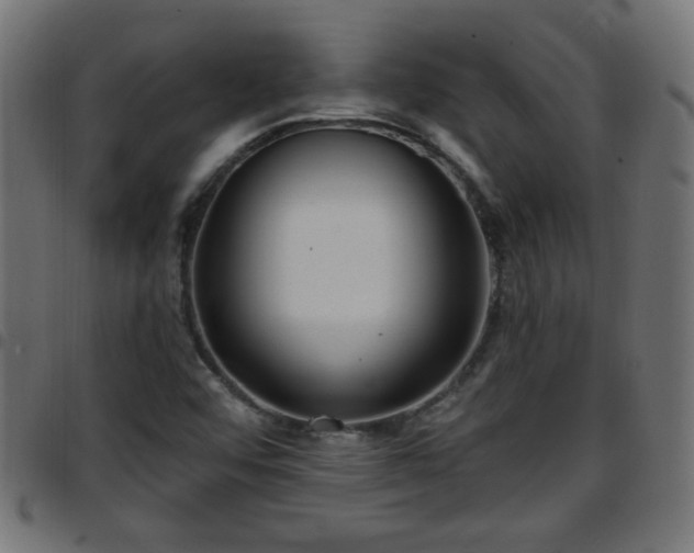 X0000097591456200803071310