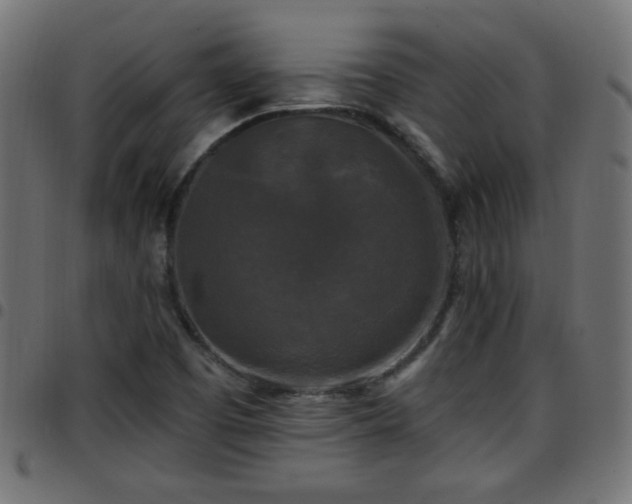 X0000097591457200803071310
