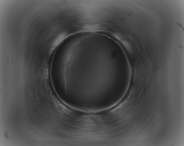 X0000097591459200803071310