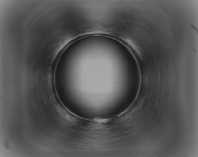 X0000097591460200803071310