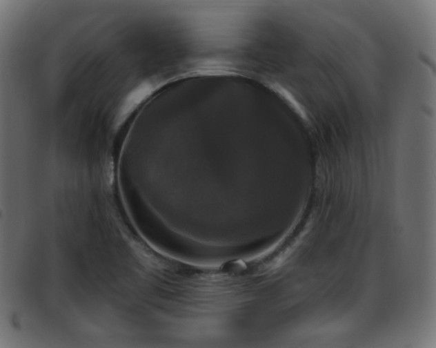 X0000097591461200803071310