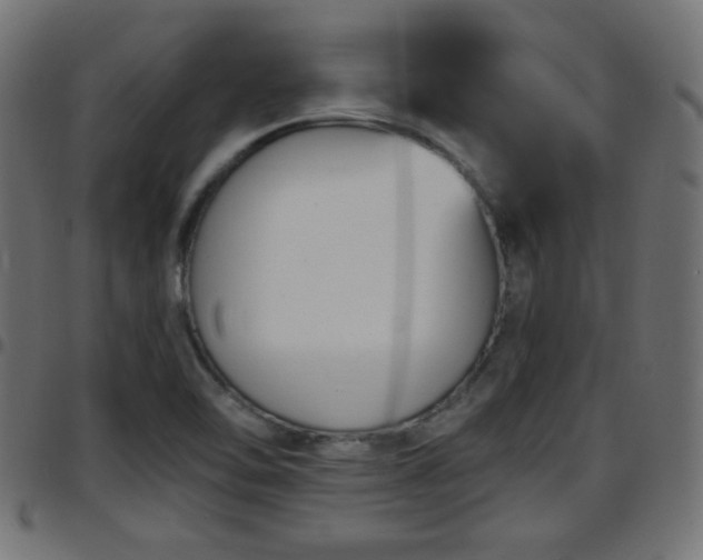 X0000097591462200803071310